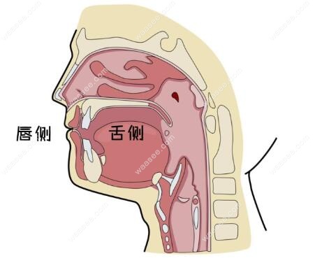 牙齿唇倾度