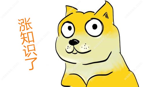 哈雷保持器多久调换一次