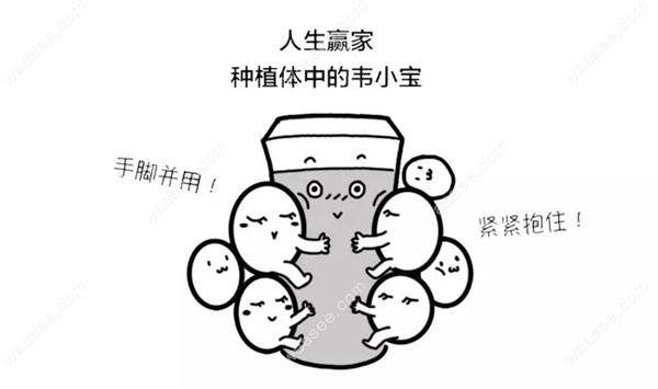 韩国美格真种植体的优点waasee.com