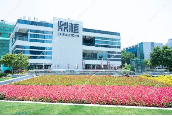 鼎植口腔种植牙集采价格