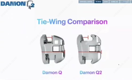 damonQ与damonQ2的区别