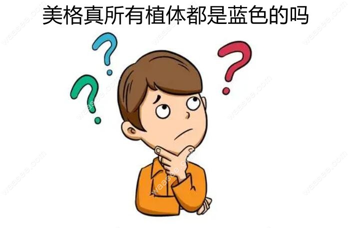 美格真所有植体都是蓝色的吗