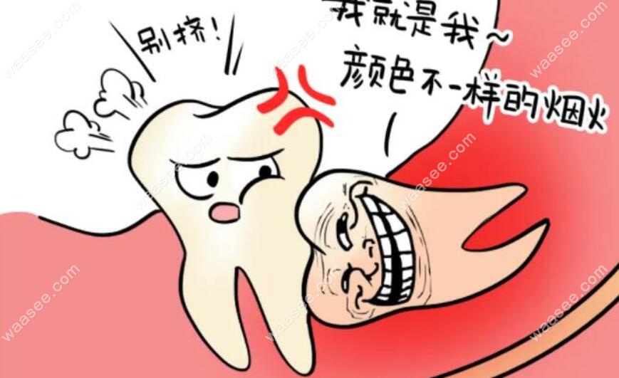 智齿拔除不容易www.waasee.com
