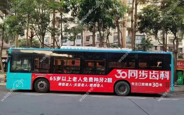 65岁以上老人来同步齿科，可领免费种牙2颗。