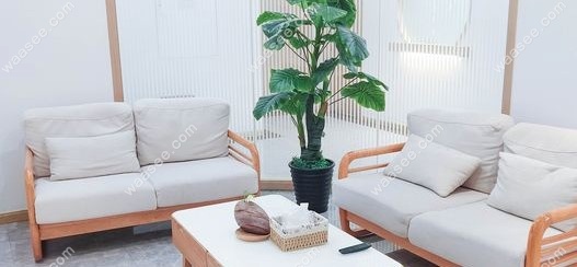 福州登特斯王潘盛医生怎么样
