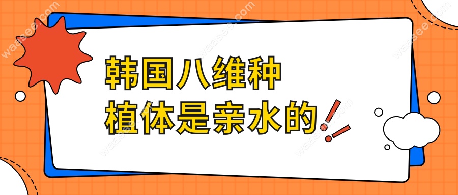 韩国八维种植体是亲水的