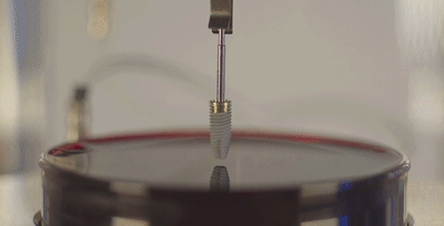 22-23060411195D00.gif