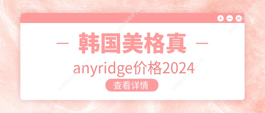 韩国美格真anyridge价格2024