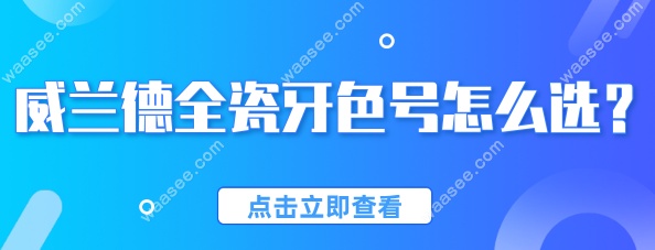 威兰德全瓷牙色号特点