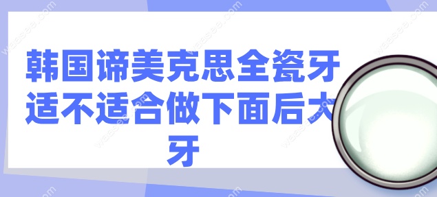 韩国谛美克思全瓷牙适不适合做下面后大牙