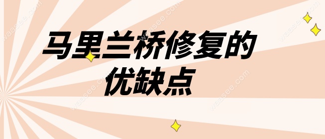 马里兰桥修复的优缺点