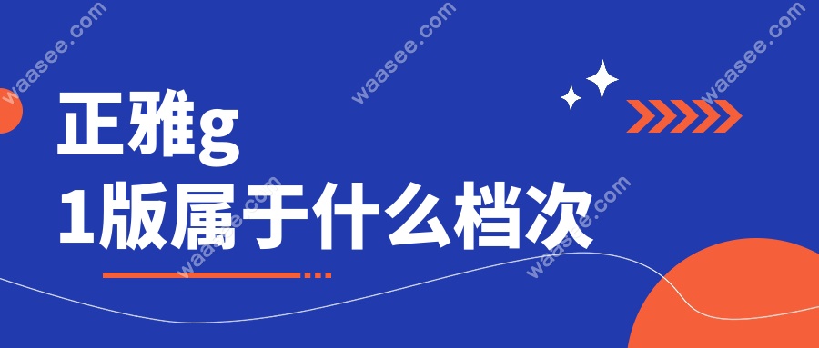 正雅g1版属于什么档次