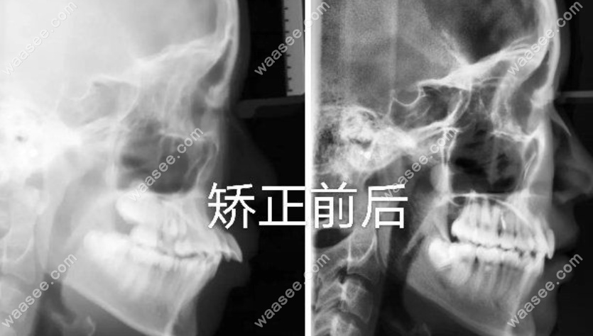 荣昌牙博士口腔技术