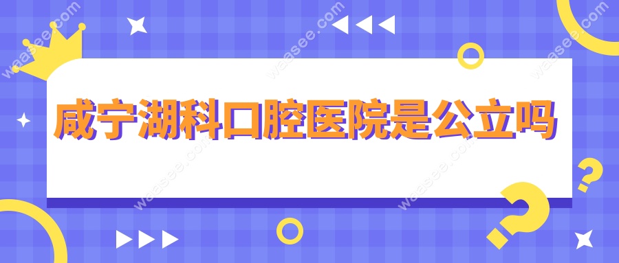 咸宁湖科口腔医院是公立吗