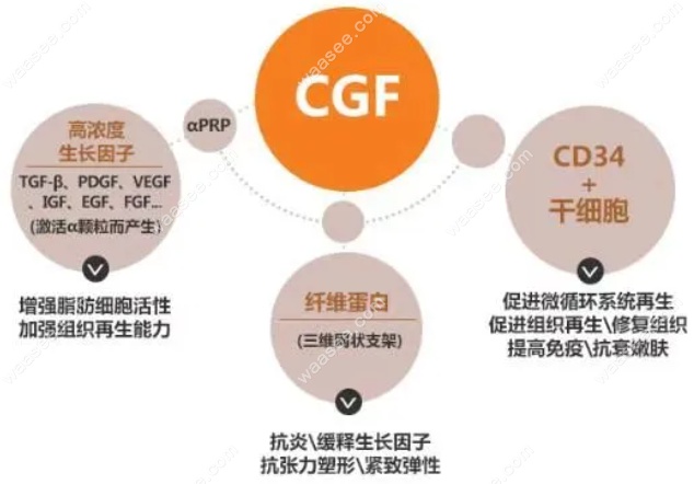 种植牙cgf是什么意思？