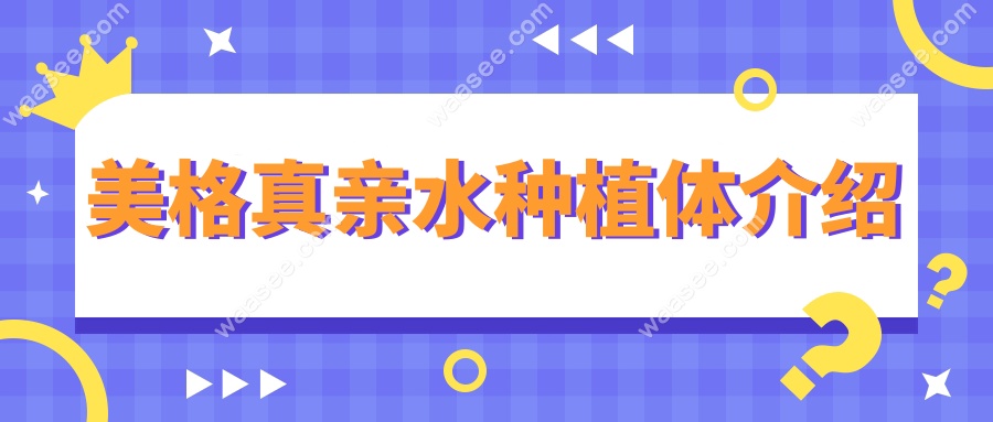 美格真亲水种植体介绍