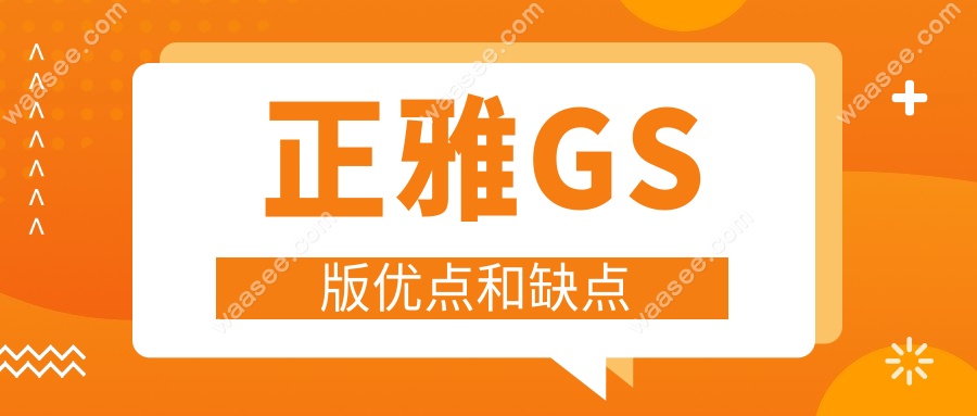 正雅GS版优点和缺点
