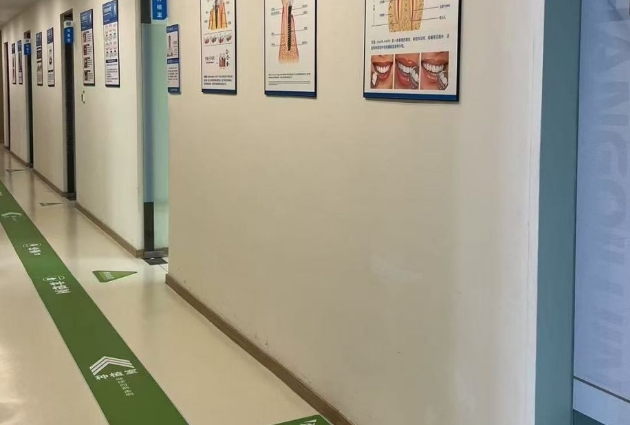 治疗区 治疗区