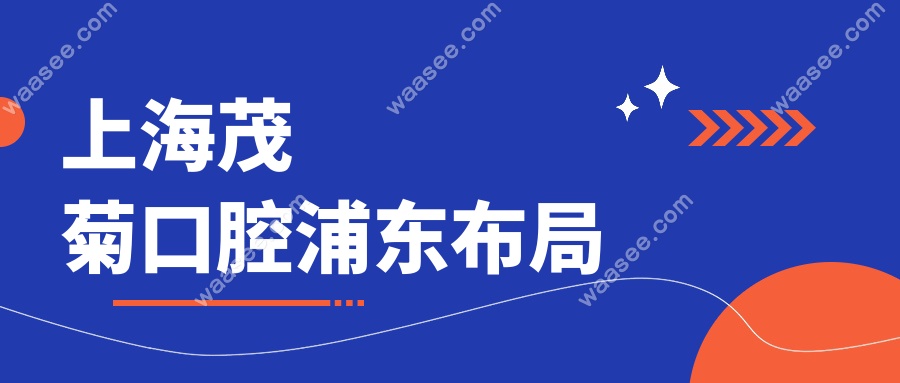 上海茂菊口腔浦东布局
