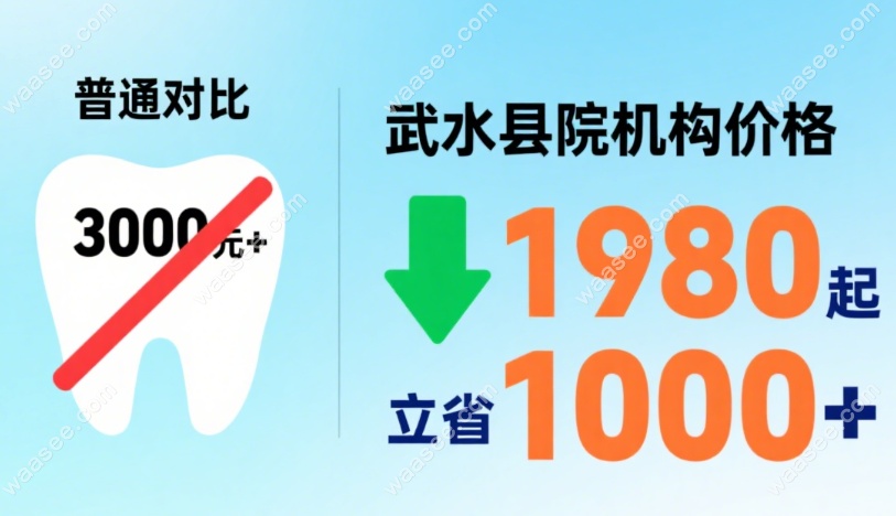 如何选择：从需求出发，找到适配的高性价比方案