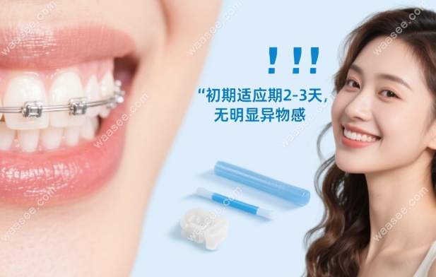 哈雷保持器进食时取下